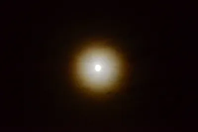 DSC_0711 (Large).JPG